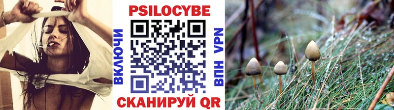 mega ссылка  купить наркотики сайты  Сарапул  Псилоцибиновые грибы мицелий 
